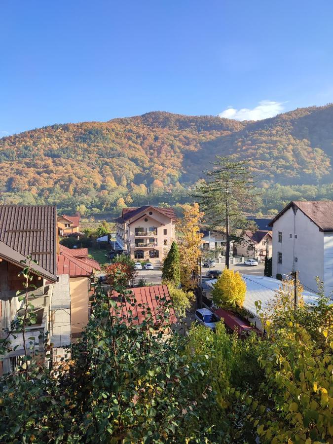 Vila Brazilor Качулата Экстерьер фото