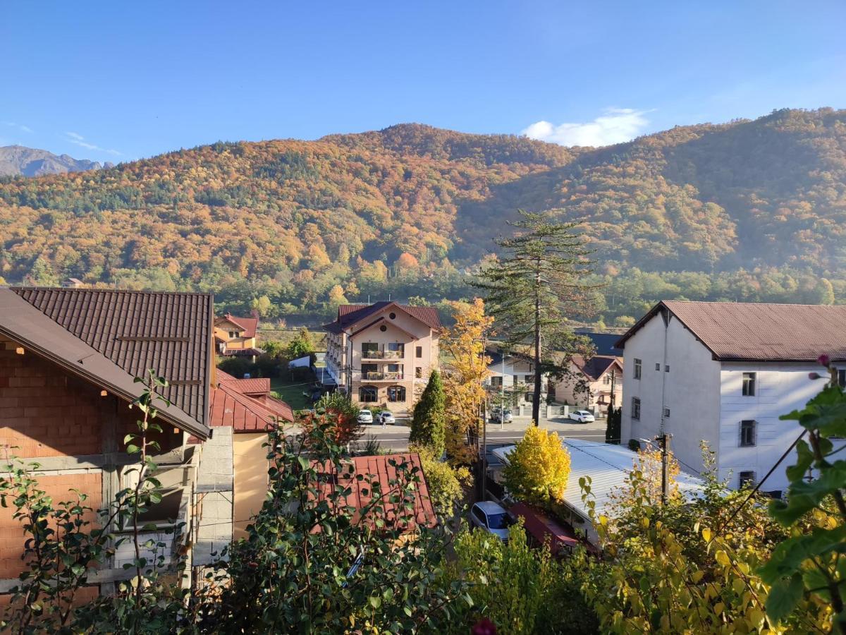 Vila Brazilor Качулата Экстерьер фото